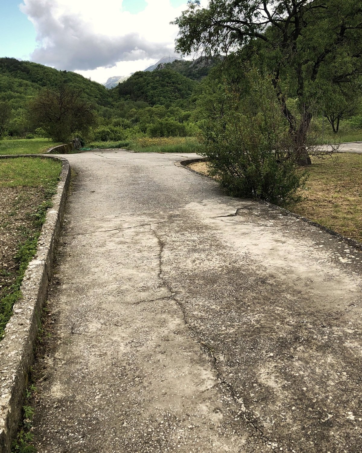 New Path